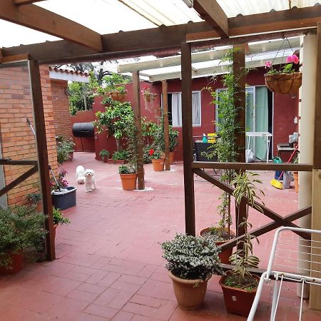 Alicia Apartment Punta del Este Ngoại thất bức ảnh