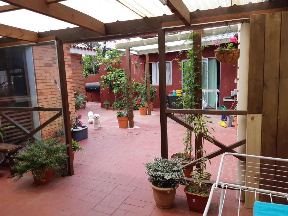Alicia Apartment Punta del Este Ngoại thất bức ảnh